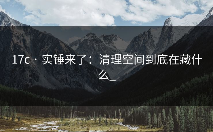 17c · 实锤来了：清理空间到底在藏什么_