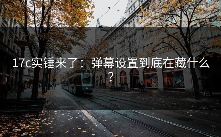 17c实锤来了：弹幕设置到底在藏什么？