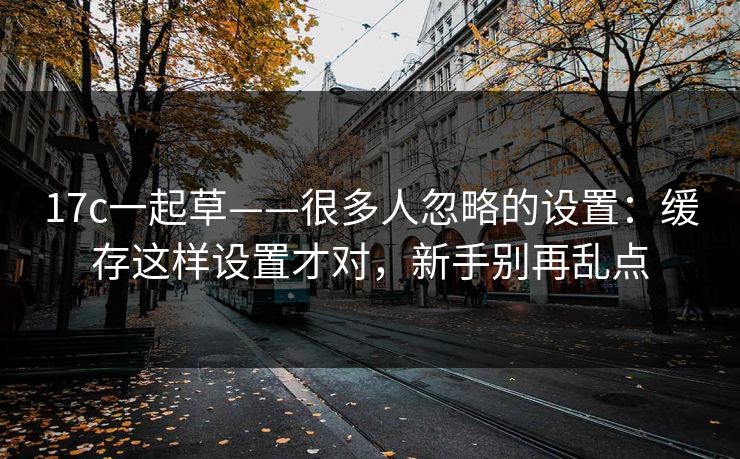 17c一起草——很多人忽略的设置：缓存这样设置才对，新手别再乱点