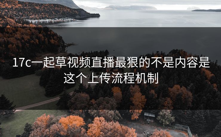 17c一起草视频直播最狠的不是内容是这个上传流程机制