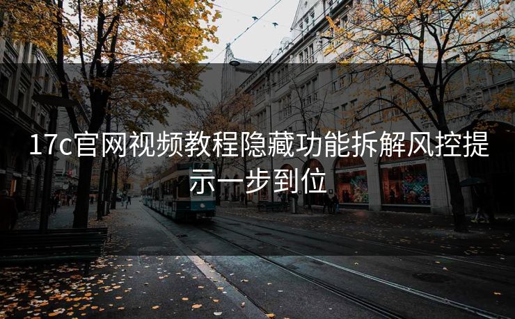 17c官网视频教程隐藏功能拆解风控提示一步到位