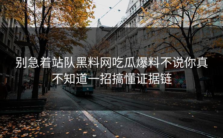 别急着站队黑料网吃瓜爆料不说你真不知道一招搞懂证据链
